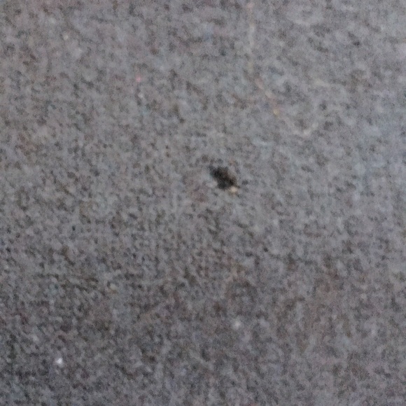 Adidas Wool sweater size Small S - Picture 4 of 7